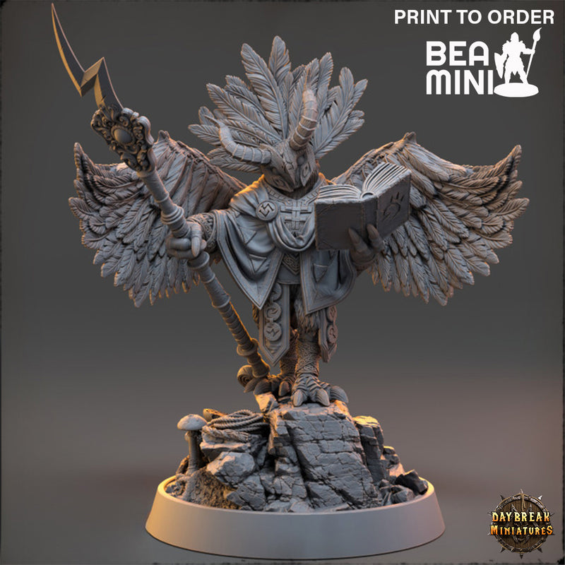 Derment of the Black Clouds - Aarakocra Wizard | BeaMini Print to Order Miniatures