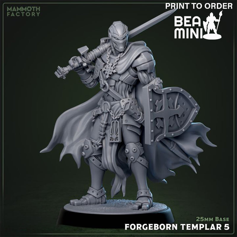 Forgeborn Paladin 5 | BeaMini Print to Order Miniature