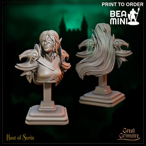 Svein, Elven Paladin - Bust | BeaMini Print to Order Miniatures