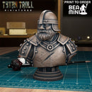 Curse of Strahd - Chip Bust | BeaMini Print to Order Miniatures