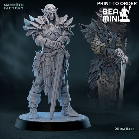 Elven Paladin 1 | BeaMini Print to Order Miniatures