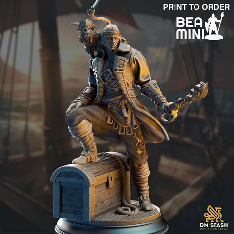 Pirate Scoundrel - Ervin "Wave Dancer" Barton | BeaMini Print to Order Miniatures