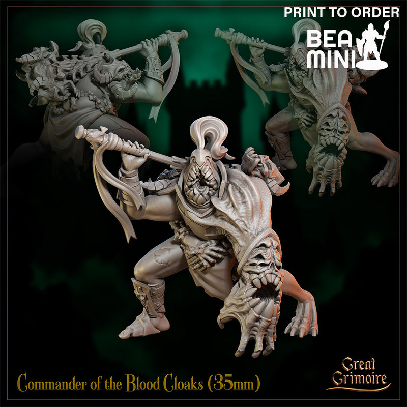 Commander of the Blood Cloaks | BeaMini Print to Order Miniatures