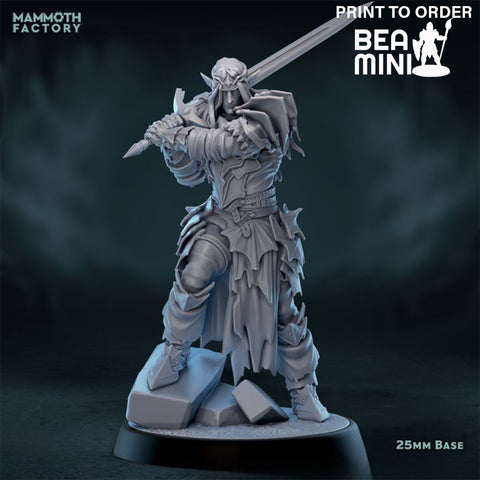 Elven Paladin 2 | BeaMini Print to Order Miniatures