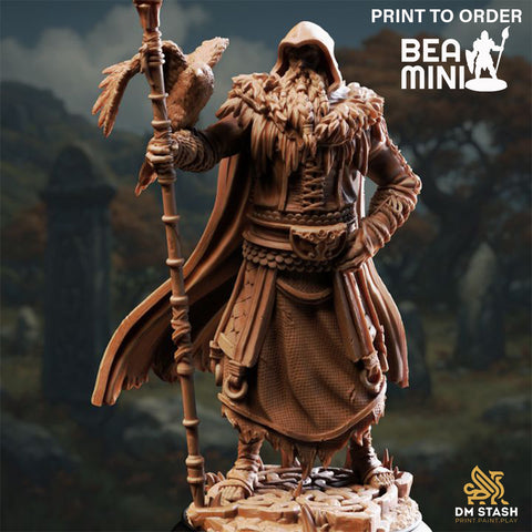 The One Eyed Wanderer - Odin | BeaMini Print to Order Miniatures