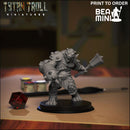 Werebear 7 | BeaMini Print to Order Miniature