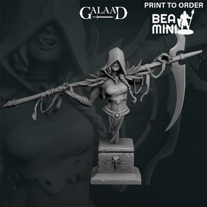 Reaper Bust | BeaMini Print to Order Miniatures