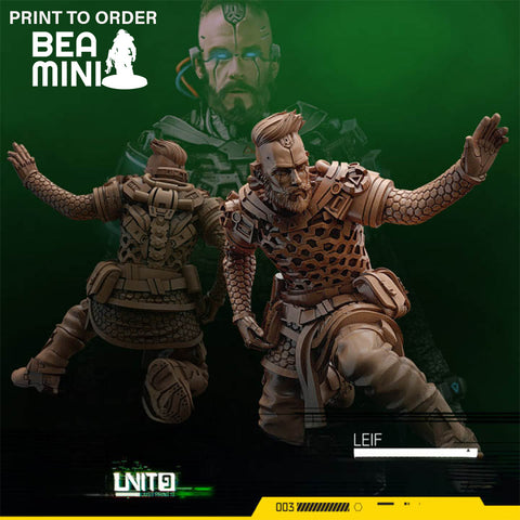Leif | BeaMini Print to Order Miniatures