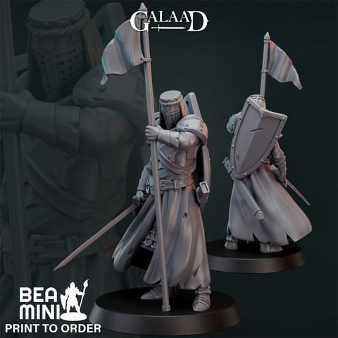 Human Paladin 01  | BeaMini Print to Order Miniatures