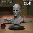 Scarred Face Bust | BeaMini Print to Order Miniatures