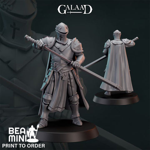 Human Paladin 02  | BeaMini Print to Order Miniatures