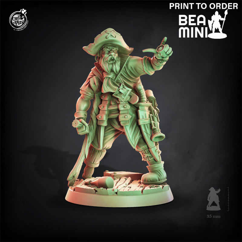 Old Bucaneer | BeaMini Print to Order Miniatures