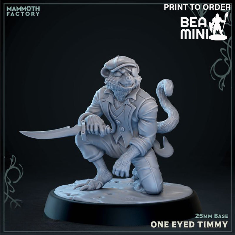 One Eyed Timmy Tabaxi Rogue | BeaMini Print to Order Miniatures