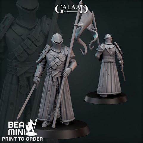 Human Paladin 04  | BeaMini Print to Order Miniatures