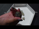 Gilded Tesseract: White/Green - Sharp Edge Dice Set & Dice Case