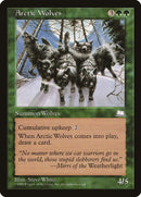 Arctic Wolves [Weatherlight] - Bea DnD Games