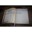 Beadle & Grims Pathfinder Complete Rogue Chronicle - Bea DnD Games