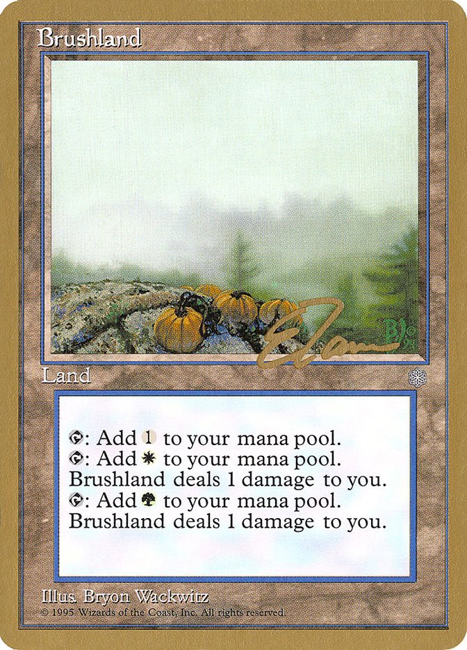 Brushland (Eric Tam) [Pro Tour Collector Set] - Bea DnD Games