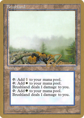 Brushland (Eric Tam) [Pro Tour Collector Set] - Bea DnD Games