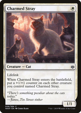 Charmed Stray [War of the Spark] - Bea DnD Games