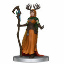 Critical Role Vox Machina Box Set - Bea DnD Games