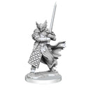 D&D Frameworks Dragonborn Paladin Male - Bea DnD Games