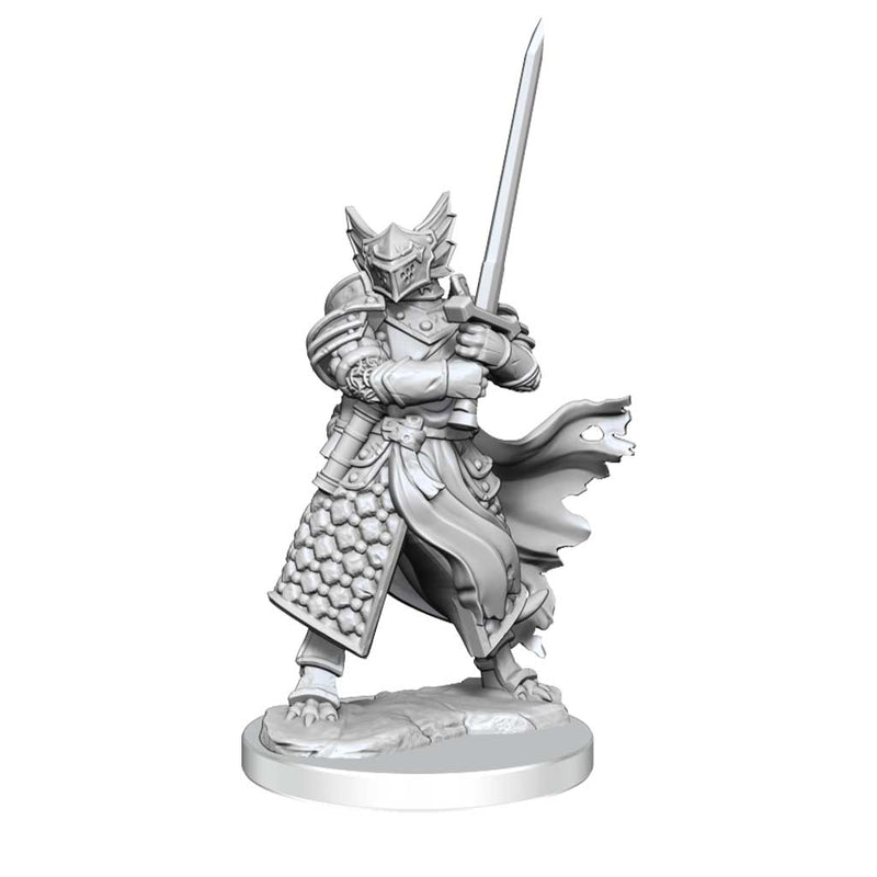 D&D Frameworks Dragonborn Paladin Male - Bea DnD Games