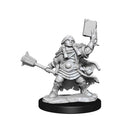 D&D Frameworks Dwarf Cleric Female - Bea DnD Games