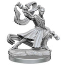 D&D Frameworks Elf Monk Male - Bea DnD Games