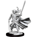 D&D Frameworks Elf Ranger Male - Bea DnD Games