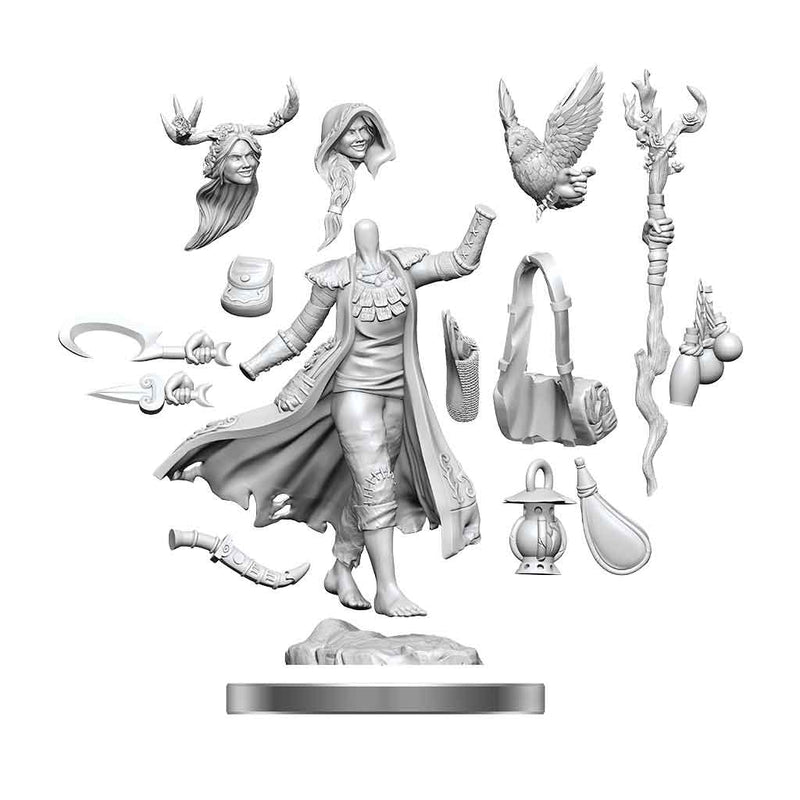 D&D Frameworks Human Druid Female - Bea DnD Games
