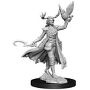 D&D Frameworks Human Druid Female - Bea DnD Games