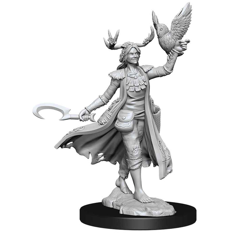 D&D Frameworks Human Druid Female - Bea DnD Games