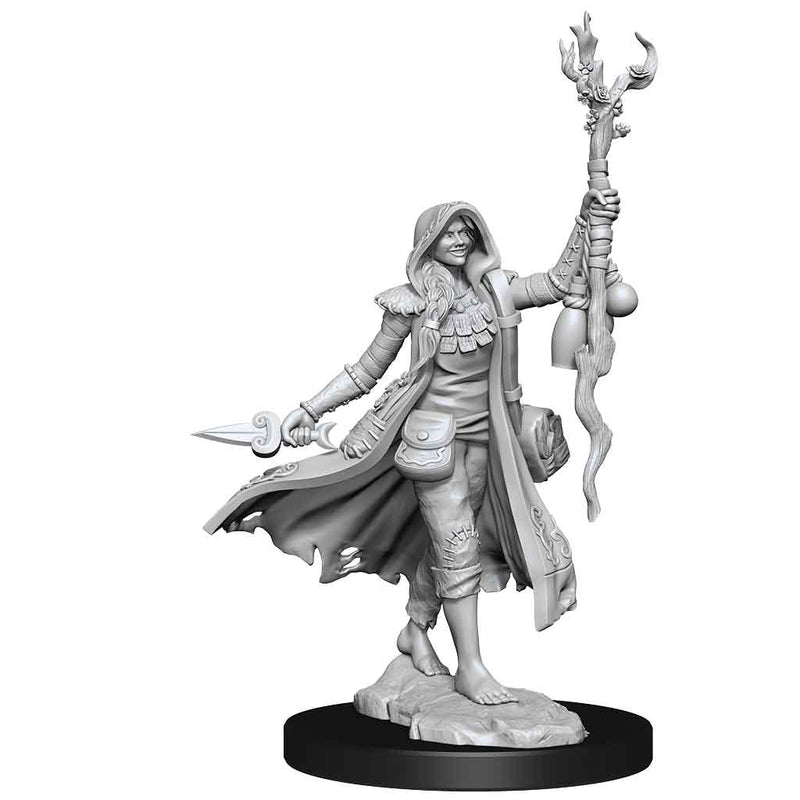 D&D Frameworks Human Druid Female - Bea DnD Games