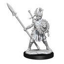 D&D Frameworks Human Fighter Female - Bea DnD Games