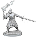 D&D Frameworks Human Male Fighter - Bea DnD Games