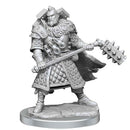 D&D Frameworks Human Male Fighter - Bea DnD Games