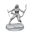 D&D Frameworks Human Rogue Female - Bea DnD Games