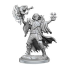 D&D Frameworks Human Warlock Male - Bea DnD Games
