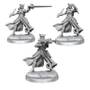 D&D Frameworks Tiefling Rogue Female - Bea DnD Games