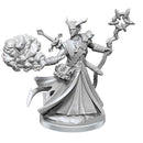 D&D Frameworks Tiefling Warlock Male - Bea DnD Games
