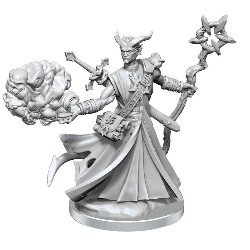 D&D Frameworks Tiefling Warlock Male - Bea DnD Games