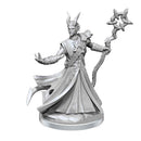 D&D Frameworks Tiefling Warlock Male - Bea DnD Games