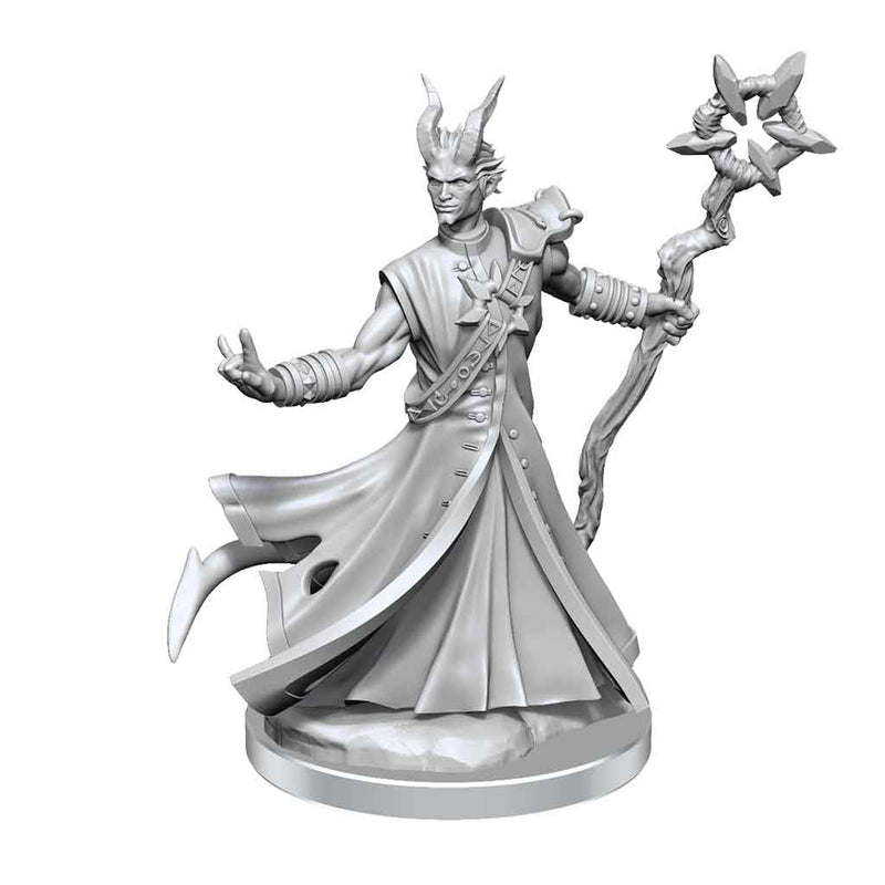 D&D Frameworks Tiefling Warlock Male - Bea DnD Games