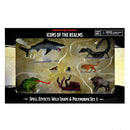 D&D Icons of the Realms Wild Shape & Polymorph Set 1 - Bea DnD Games