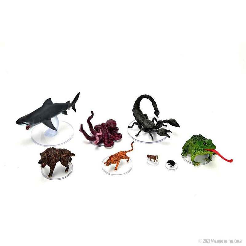 D&D Icons of the Realms Wild Shape & Polymorph Set 1 - Bea DnD Games