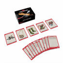 D&D Spellbook Cards Magic Item Deck - Bea DnD Games