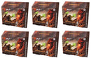 Dominaria Remastered - Collector Booster Case - Bea DnD Games