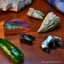 Dungeons & Dragons Teeth of Dahlver-Nar Bite-Sized Artifact - Bea DnD Games