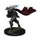 Elf Champion (Female) Pathfinder Battles Premium Painted Figure - Bea DnD Games